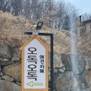 오독오독 반려견유치원 이미지