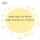 힐링타로 이미지