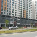 대림부동산 앞 이미지