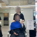 둔산동미용실 에이티엔피 대전점 톤다운 염색 후기 대전커트잘하는곳 퍼스널컬러 진단 후기!