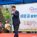 배밭골 | 2024 배밭골 봄맞이 동행축제 방문후기
