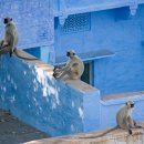 파란마을 이미지