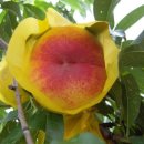 골드세탁 이미지