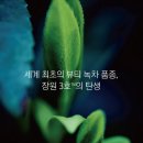 아모레양산 이미지