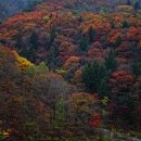 윤희네일 이미지