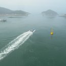 입큰개구리 이미지