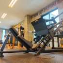 노익스큐즈 이미지