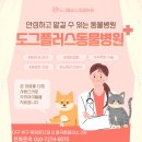 미유펫대구강아지고양이도그플러스동물병원
