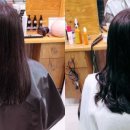 크리스탈 스포츠센터 이미지