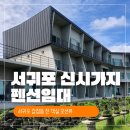 제주튼튼공인중개사사무소 이미지