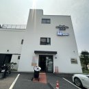 도그마미 이미지