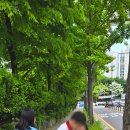 파란꿈미술교습소 이미지