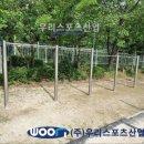 판교초교 이미지