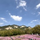 불암산 나비정원 카페 주차장 철쭉동산, 아이랑 다녀옴