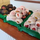 미엘 파티세리 이미지