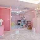 명지애견 이미지