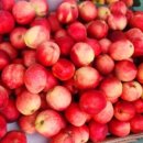 샛별프라자 이미지