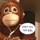동키치킨 광안점 | 춥지만 따뜻했던 겨울