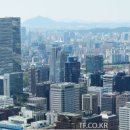 케이농장 네이버블로그