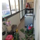 노형초등학교 이미지