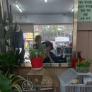 태후사랑염색두피전문점 이미지