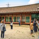 삼버들 협동조합 시선뉴스