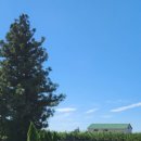 제주 덕수재 이미지