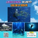 휠체어투어 이미지