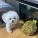 쿨펫동물병원 킨텍스점 이미지