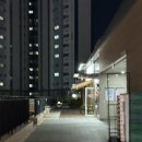 프롬마이포레스트