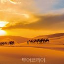 행운여행사 이미지
