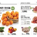 2001분당 이미지