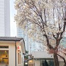 용산파트너공인중개사사무소 이미지