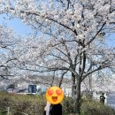 청춘감성쌀핫도그군산