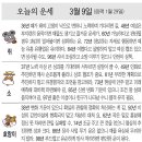 📛오늘의운세3월9일(토요일) 이미지