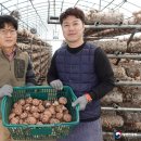 김인현 농장 이미지