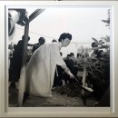 1950 12.12 박정희 대통령 육영수 여사님 대구 계산성당 결혼식 모습 이미지
