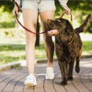 통영동물병원 이미지