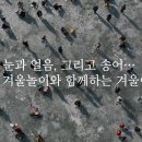 물안골송어회 | [2026 평창송어축제] 텐트 예약 필수! 요금, 낚시대 꿀팁 &amp; 맛집 숙소 총정리