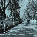 이화여자대학교사범대학부속이화·금란중학교 이미지