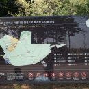 청라 노을공원 스케이트플라자 이미지