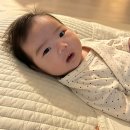 분유 안먹는 아기 수유량 높이는 방법, 다울아이 후기