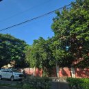 600008 | 남인도 여행 D+23 첸나이 서핑 정보 및 정부 박물관 구경갔다가 마리나 비치까지의 일정 리뷰 건