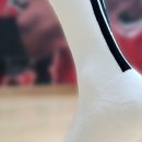 인아스포츠 이미지