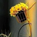 소이초등학교 이미지