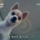 다 이미지