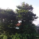 용호리경로당 이미지