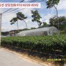 기천보건진료소 이미지