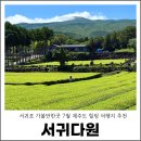 서귀포 가볼만한곳 7월 제주도 힐링 여행지 서귀다원 추천
