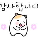 1TEAM골프피팅랩